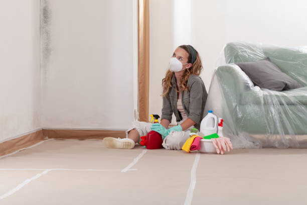 Reliable Mold Removal contractor in Grapevine, TX by WQB Mold Removal
